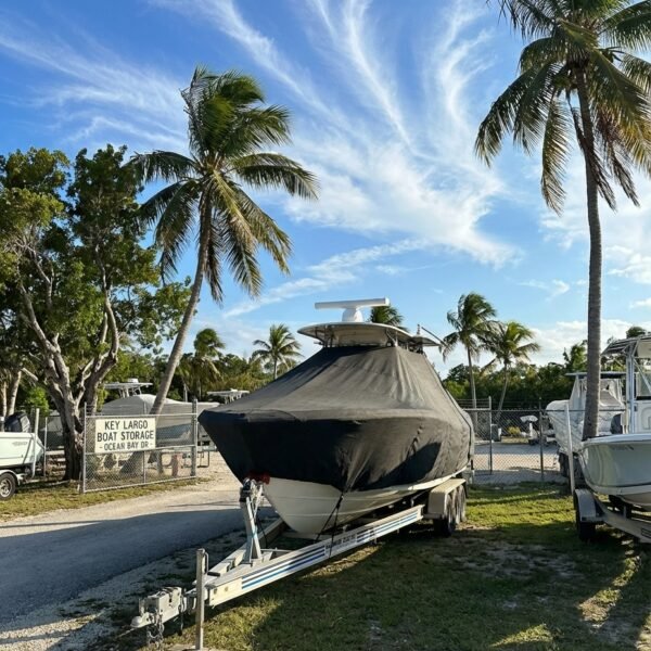 Sea Craft 23 T-Top Boat Cover & Canvas