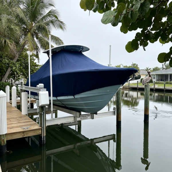 Blue motorboat under a dark blue cover on a lift at a marina, with palm trees and a pelican on a piling nearby, reflected in calm water.